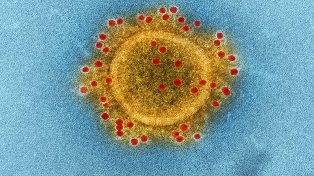 Japonya'da mthi bulu koronavirs 7 dakikada yok eden cihaz gelitirildi.