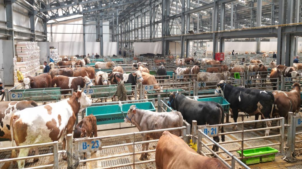 AVRUPA’NIN EN BÜYÜK BORSASI DOĞU’DA DA GÖZBEBEĞİ