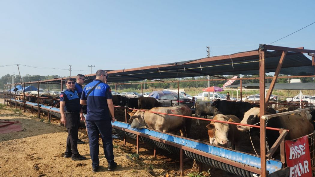 ilide kurban pazarlarna ve kesim noktalarna sk denetim